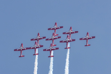 Snowbirds