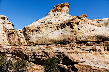 Capitol Reef National Park