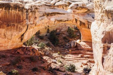 Capitol Reef National Park