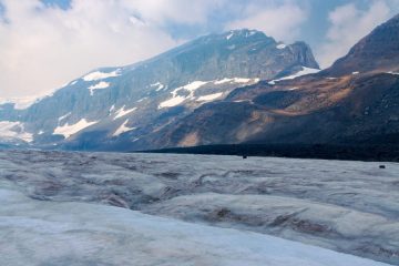 Columbia Icefield an Athabasca Glacier