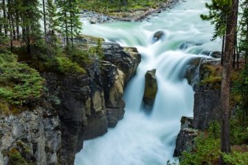 Sunwapta Falls