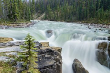 Sunwapta Falls