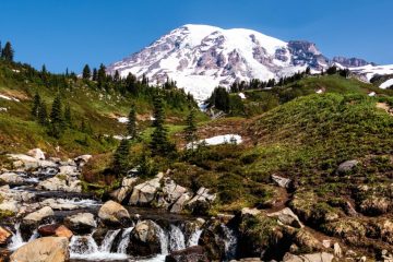 Mount Rainier