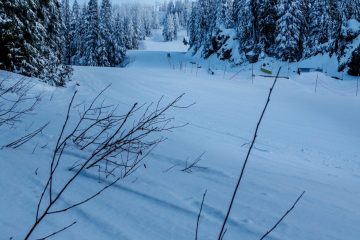 Mount Seymour Trail