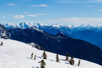 Mount Seymour Trail