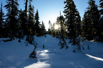 Morning sun on the trail