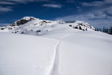 Wonk peak at the upper left corner