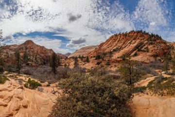 Zion National Park