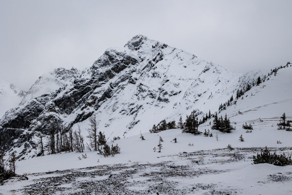 Frosty Mountain West Summit