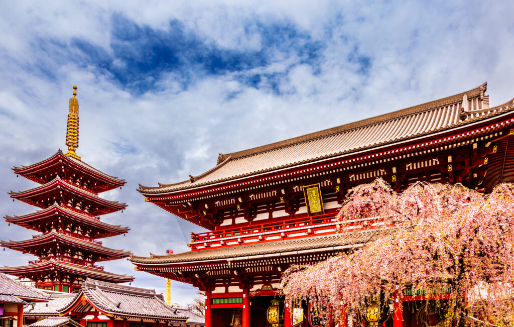 Sensoji and cherry blossom, Tokyo, Japan